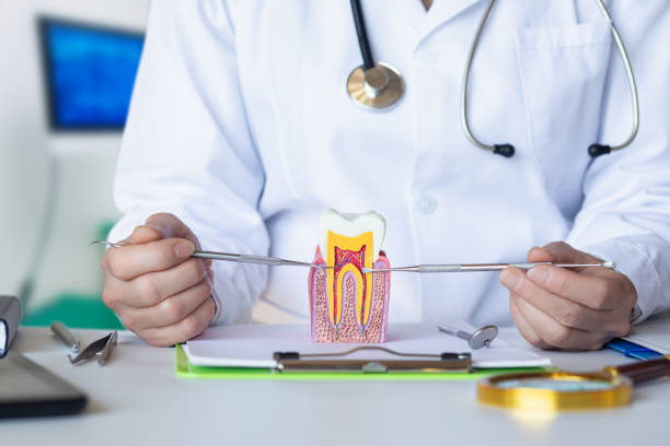 Trusted WV Emergency Dental Service Experts